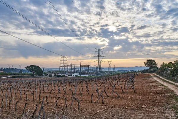 Arkasında güzel bir gökyüzü olan üzüm bağlarıyla çevrili yüksek voltajlı elektrik santrali.