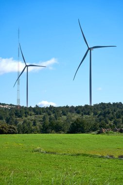 Doğal bir çevrede elektrik üretmek için ekolojik yel değirmenleri olan alanın güzel bir görüntüsü.