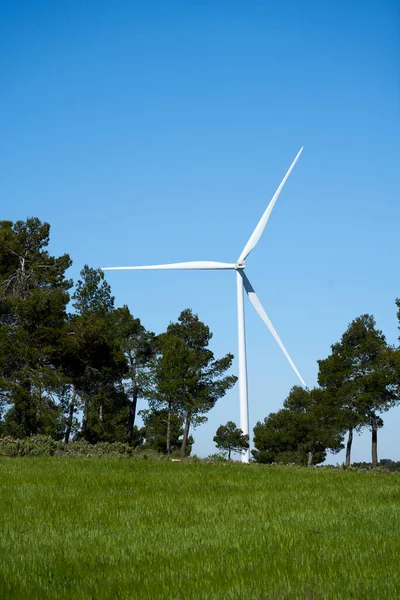 Çevrede elektrik üretmek için ekolojik yel değirmenleri olan ağaçlarla güzel bir görüntü.