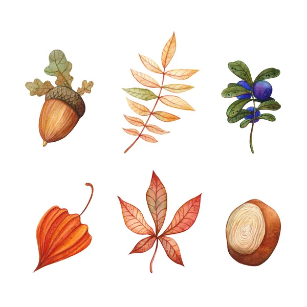 Met Hand Getekend Aquarel Illustratie Clipart Herfst Set Van Gevallen — Stockfoto