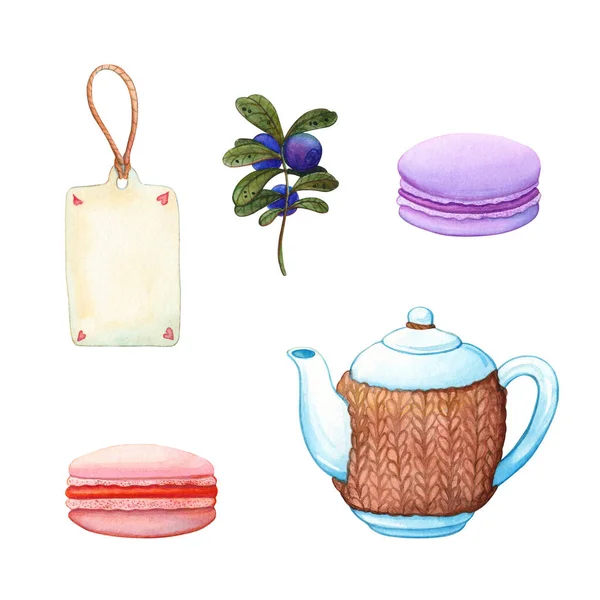 Hand drawn illustration set of macaroons, teapot with herbal blueberry and empty paper tag isolated on white. Sweets, tea party and food
