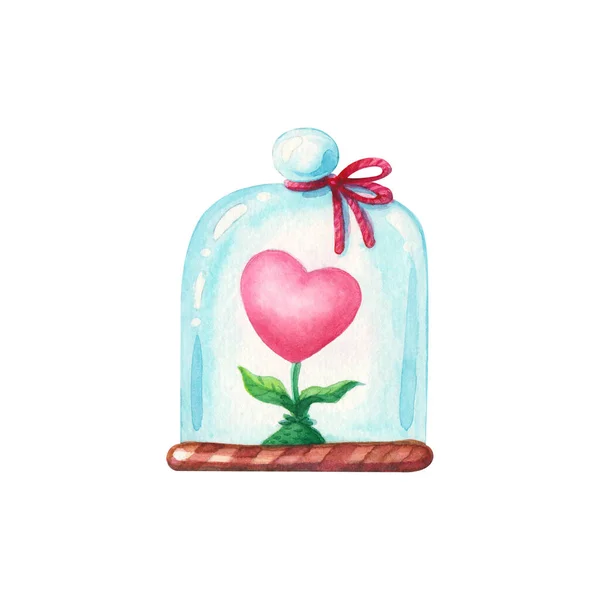 白色背景玻璃穹顶下 手工绘制的心形花朵水彩画 情人节与爱的概念 — 图库照片