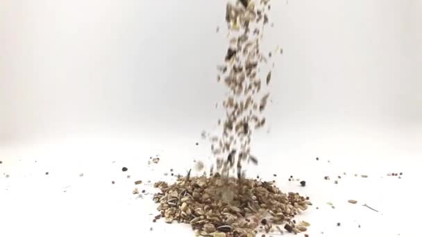 Pour Food Hamster Slow Motion — Stock Video