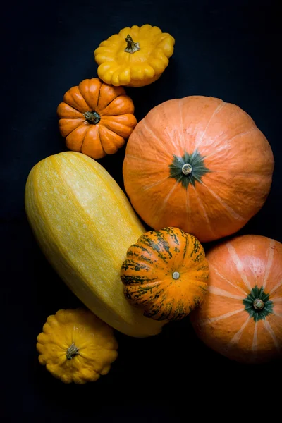 Cosecha otoñal de calabazas. Calabazas de Halloween — Foto de Stock