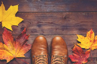 Ayakkabı ve düşen yapraklar havai görünümü