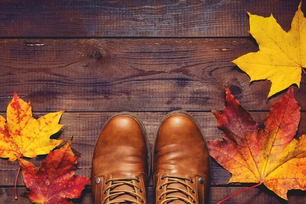 Seyahat kavramı: bot ve düşen yapraklar