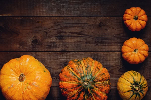 Calabazas de Acción de Gracias sobre fondo de madera — Foto de Stock