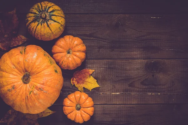 Día de Acción de Gracias Fondo con calabazas — Foto de Stock