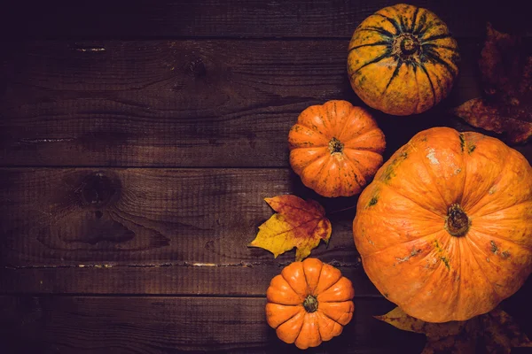 Día de Acción de Gracias Fondo con calabazas — Foto de Stock