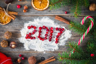 mutlu yeni yıl 2017 tebrik kartı