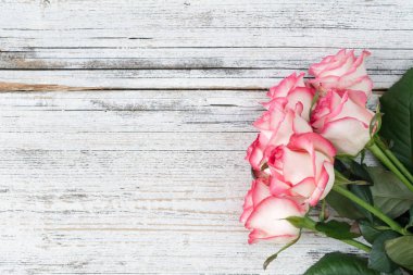 Vintage beyaz zemin üzerine pembe güller