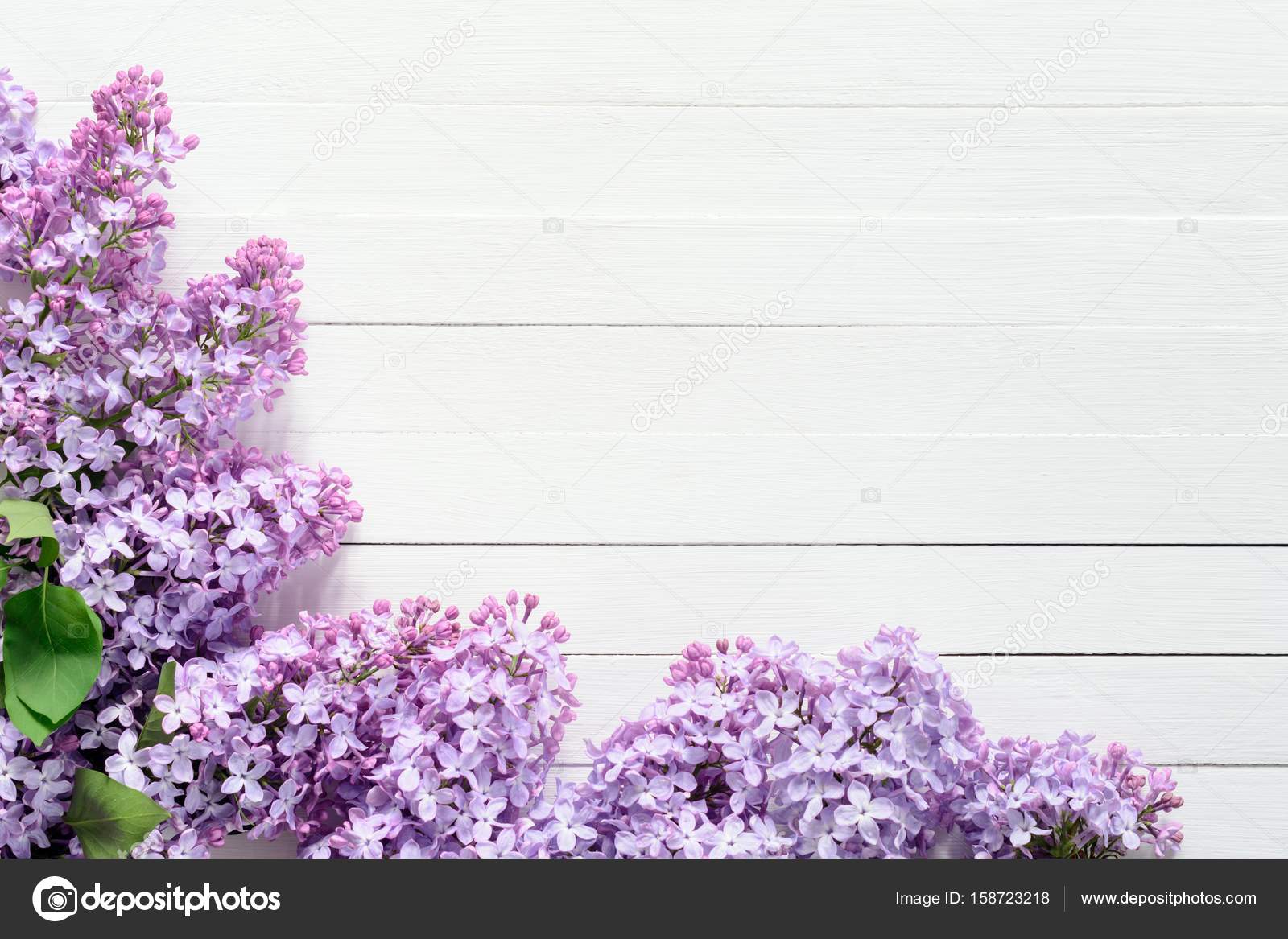 Lilacs On White Wooden Background Floral Frame Stock Photo By C Vladislavnosick