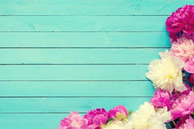 Turkuaz ahşap zemin üzerine peonies ile çerçeve çiçek