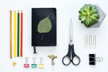 Sanatçı çalışma alanı / tasarım araçları düz lay