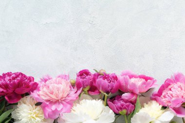 Peonies parlak mavi zemin üzerine. Çiçek kartı