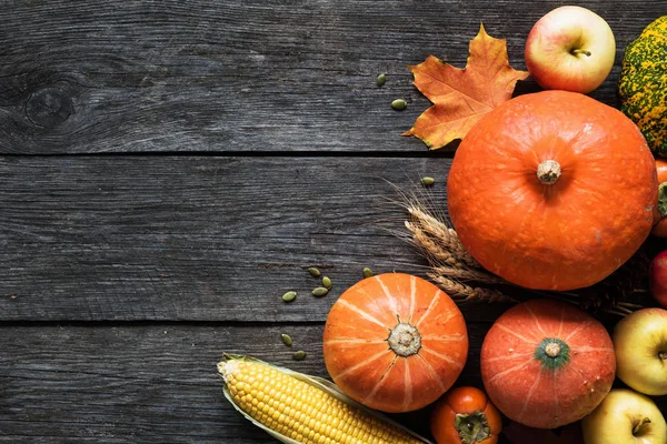 Kabak, elma, Mısır ve düşen yapraklar sonbaharda hasat kenarlık