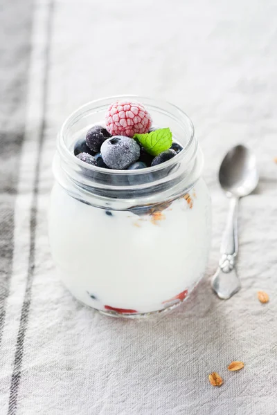 Yaban mersini ve ahududu bir kavanoza yoğurt