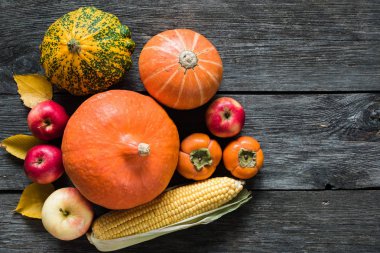 Sonbaharda hasat Şükran günü arka plan