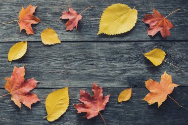 Ahşap arka plan karede düşen yapraklar