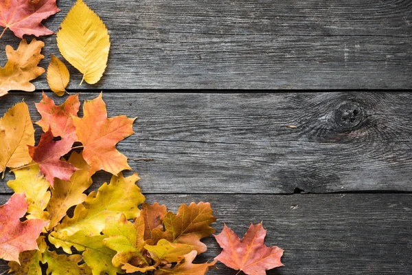 Ahşap zemin üzerine düşen yapraklar