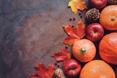 Kabak, elma, akçaağaç yaprağı ve çam kozalakları. Mevsim sonbahar arka plan