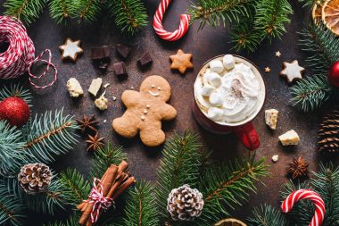 Sıcak çikolata şekerleme, gingerbread çerezleri, baharatlar ve şeker kamışı