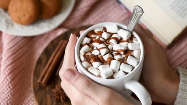 Tasse Heiße Schokolade Mit Marshmallows Weiblichen Händen Trostpflaster — Stockvideo