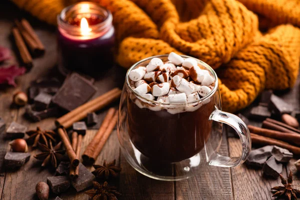 Tazza di cioccolata calda con cannella e marshmallow — Foto Stock