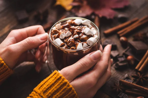 Cup of hot chocolate with marshmallows and cinnnamon — Stok fotoğraf