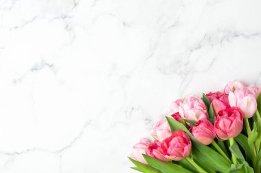 Mermer Arkaplanda Pembe Şakayık Laleler