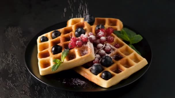 Açúcar Movimento Lento Peneiramento Waffles Belgas Com Bagas Fundo Preto — Vídeo de Stock