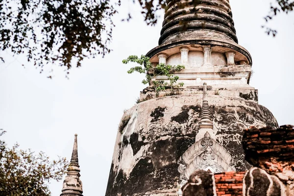 Phra Sri Sanphet Temple Dawna Królewska Świątynia Starożytnego Pałacu Ayutthaya — Zdjęcie stockowe