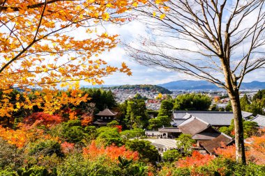 Japonya 'da yapraklar renk değiştiriyor. Hem yeşil, hem sarı hem de kırmızı renkler eski turistlerin izlemesi için çiçek açıyor..