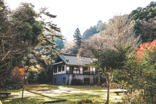Ormanda Japon tarzı bir ev. Çiçeklerin ortasında. Japon renklerinin sonbaharında renk değiştiriyor..