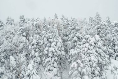 Halat dağın tepesine çıkıyor kablo boyunca, hava koşulları kar örtüsü, Shin Hotaka halat yolu, Japonya.