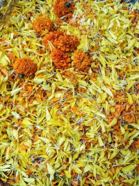 Loose Marigold (Chendupoo) (Sarı / turuncu), renk çiçekleri karışımı