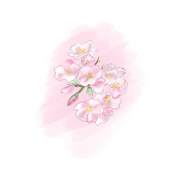 Flores da primavera cor-de-rosa humor bonito — Fotografia de Stock