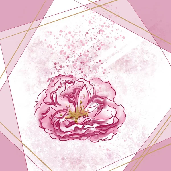 Красивая ароматная роза в декоративной рамке — стоковое фото
