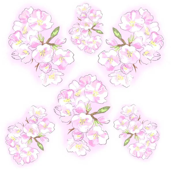 Pozadí vzor s krásnými jarními květy — Stock fotografie