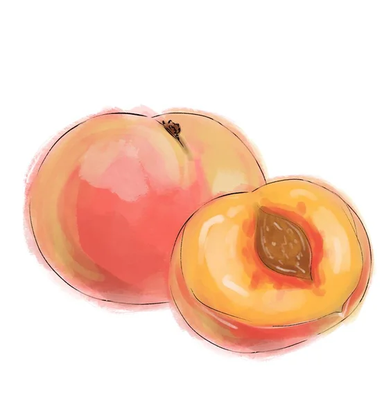 Stilig skisse av en nydelig appetittvekkende frisk frukt Fersken – stockfoto