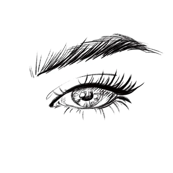 Stylish illustration of a beautiful and expressive eye and eyebrow close-up — Stock Photo, Image