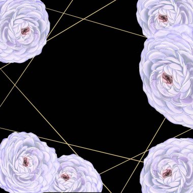 güzel çiçeklerin dekorasyonu ile metin için siyah yer ile arkaplan çerçevesi