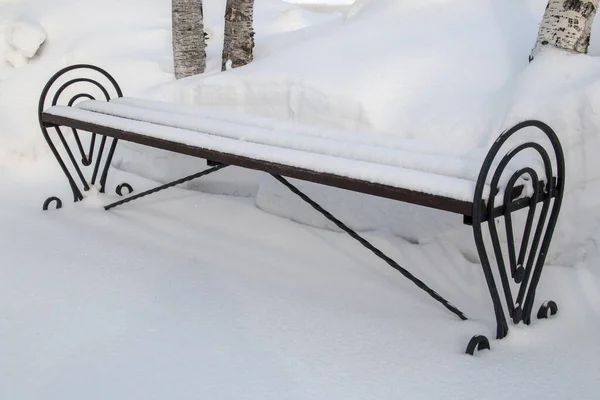 Garden bench in the alley, covered with freshly fallen snow, surrounded by birches