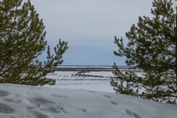 Een Prachtig Winterlandschap Opent Zich Vanaf Top Van Een Besneeuwde — Stockfoto