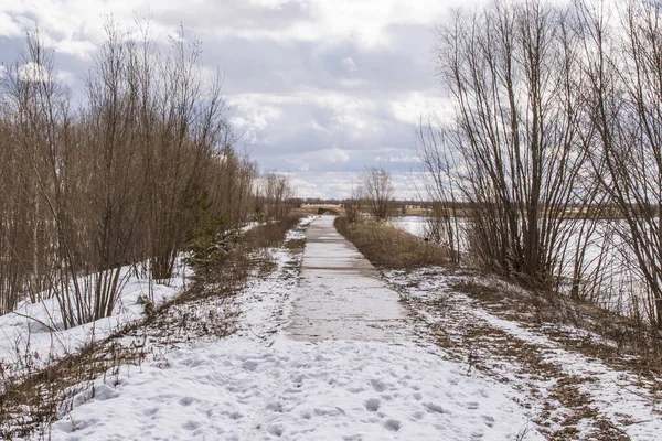 Stara Betonowa Droga Prowadzi Wzdłuż Brzegu Rzeki Wczesną Wiosną — Zdjęcie stockowe