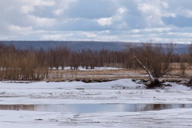 Priobye köyü yakınlarındaki Sibirya kanalında Khanty-Mansi Özerk Okrug buzu eritmeye başlar. Bahar nehri manzarası.