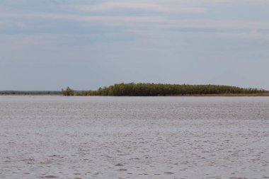 Geniş Sibirya nehrinin ortasında yeşil bir ada. Yazın başında, sıcak öğle vakti,.