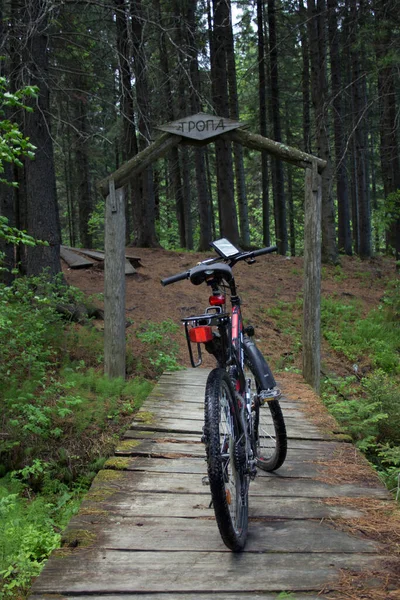 Bike trip in the nature park. A bicycle stands on an old wooden bridge at the beginning of a wooden path