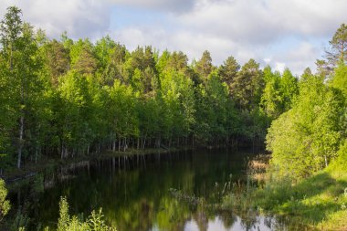 Dar Sibirya nehri ormanla kaplanmış bankaları yansıtır. Sibirya 'da yaz mevsiminde sulu yeşiller buluşur