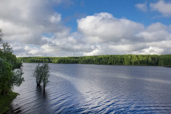 Szeroka Głęboka Rzeka Syberii Brzegami Porośniętymi Lasem — Zdjęcie stockowe